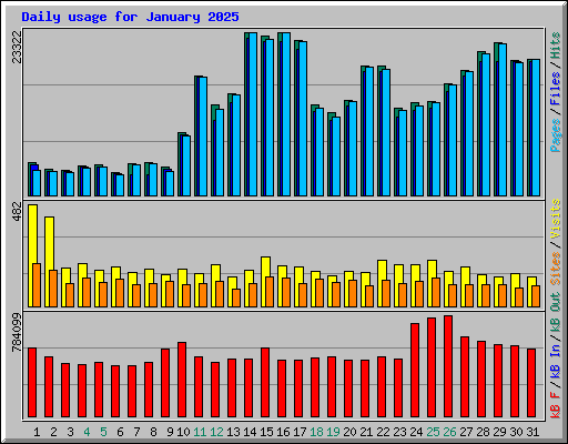 Daily usage for January 2025