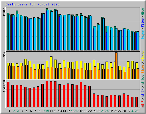 Daily usage for August 2025