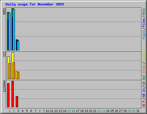 Daily usage for November 2025