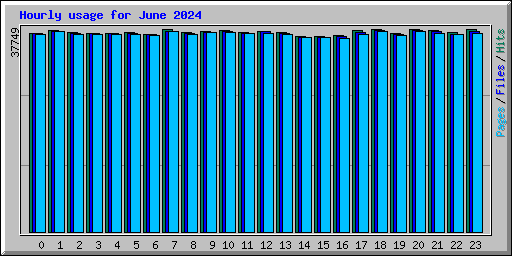 Hourly usage for June 2024