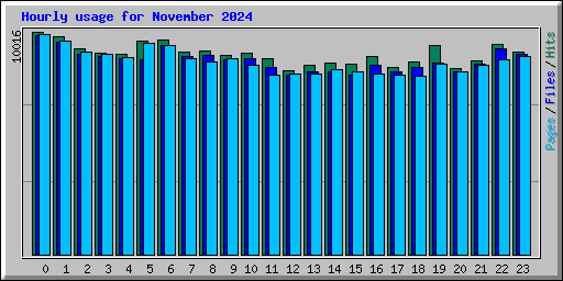 Hourly usage for November 2024