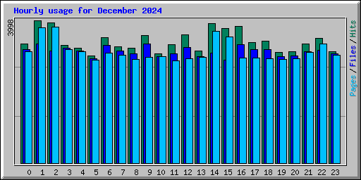 Hourly usage for December 2024