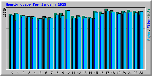 Hourly usage for January 2025