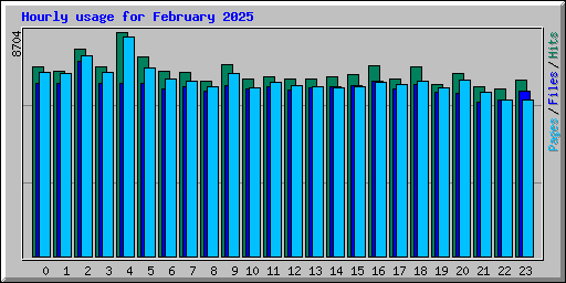 Hourly usage for February 2025