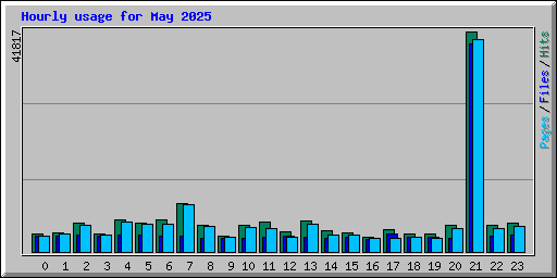 Hourly usage for May 2025