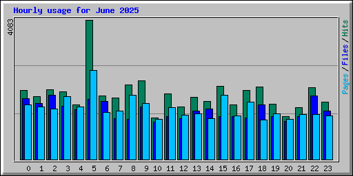 Hourly usage for June 2025