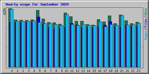 Hourly usage for September 2025