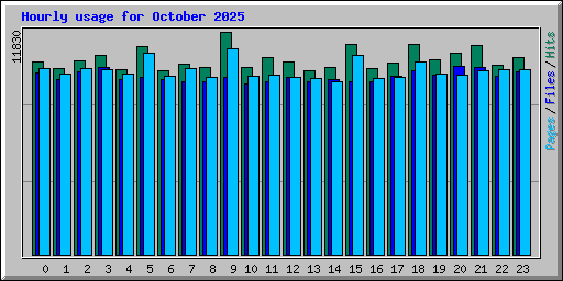 Hourly usage for October 2025
