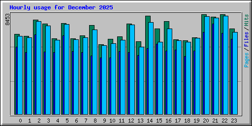 Hourly usage for December 2025