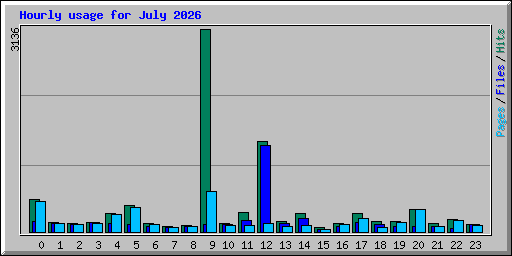 Hourly usage for July 2026